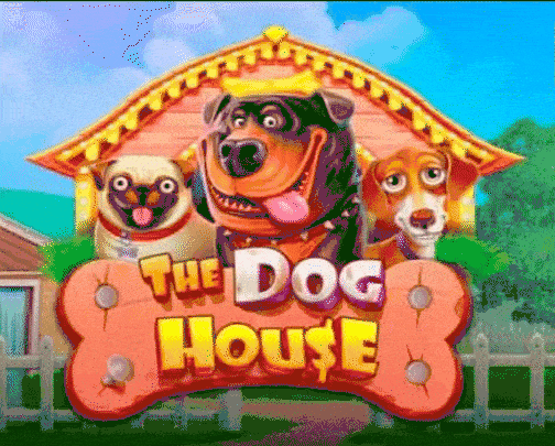 play the dog house in need for slots casino